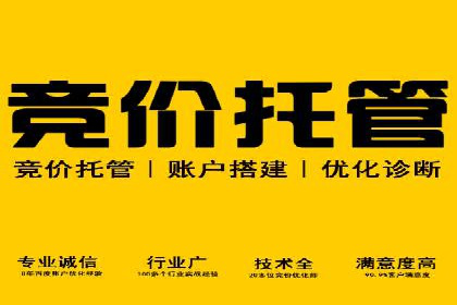 提升转化率：SEM竞价广告案例解析